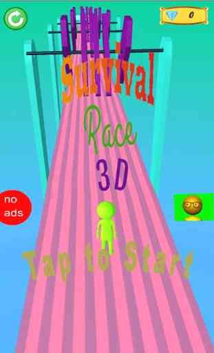 Survival Fun Race 3D 2