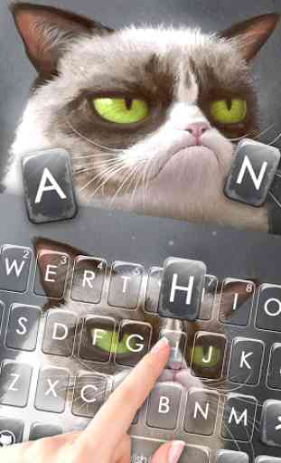 Thème de clavier Grumpy Cat 2
