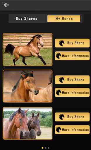 7 Star Stables 2