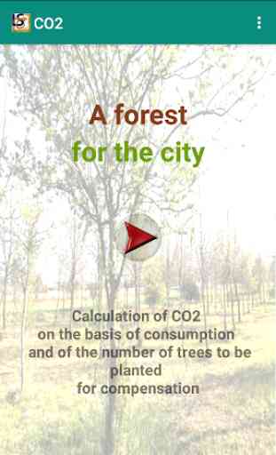 A forest for the city - calculation of CO2 1