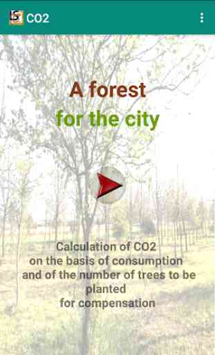 A forest for the city - calculation of CO2 4