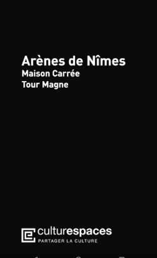 Arènes de Nîmes 1