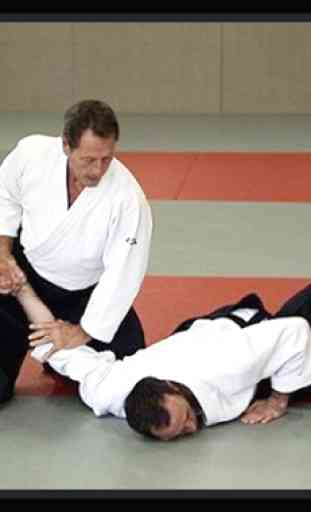 Arts martiaux: Karaté, Taekwondo, Judo, Boxe 2