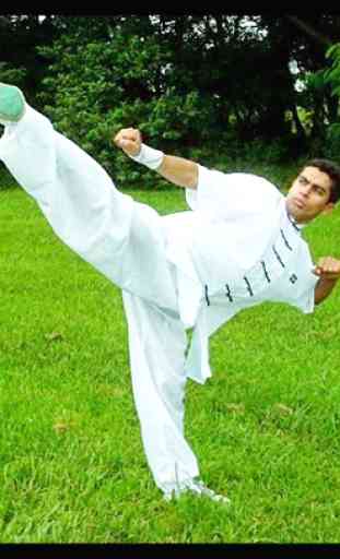 Arts martiaux: Karaté, Taekwondo, Judo, Boxe 4