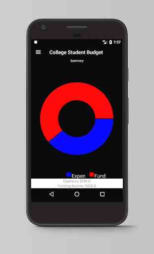College Student Budget 3