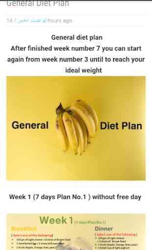 Diet Plan 4
