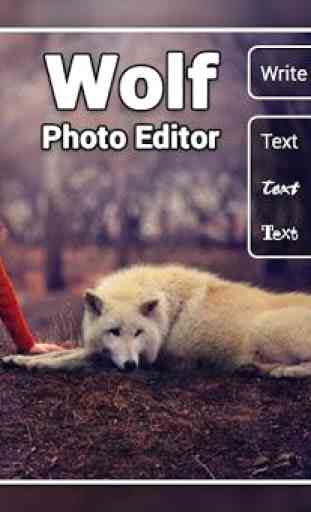 Dog Photo Editor 3