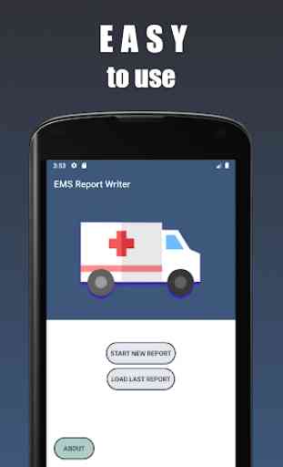 EMS Report Writer 1