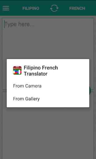 Filipino French Translator 4