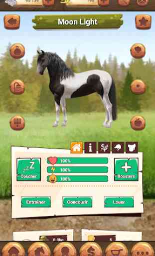 Kazakorse - Jeu d'élevage de chevaux virtuels 1