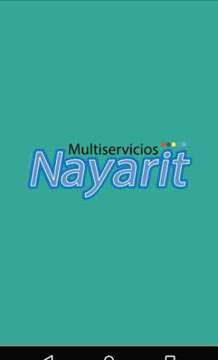 Multiservicios Nayarit 1