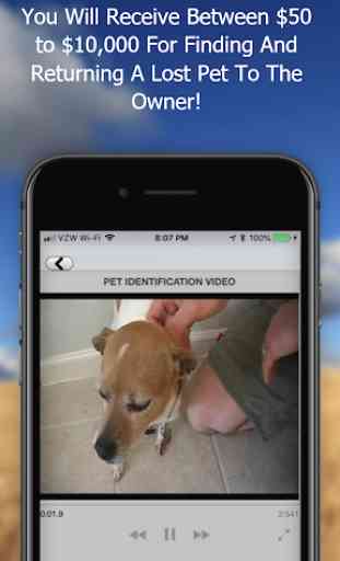 Pet Video Verify 3