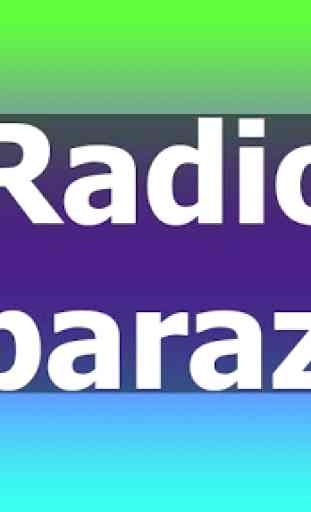 radio caparazon PRO+ 2