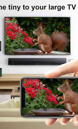 Screen Mirroring : Mobile To TV Screen Cast 1