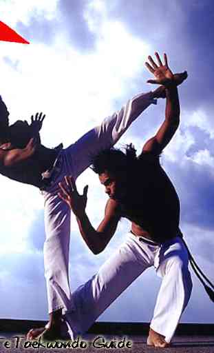 Techniques de base du mouvement de taekwondo 2