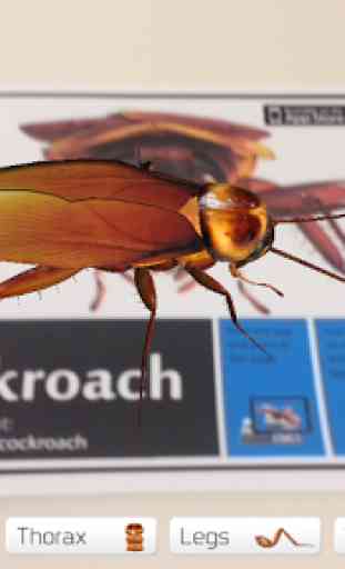 Virtual Cockroach 1