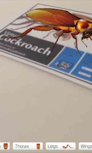 Virtual Cockroach 3