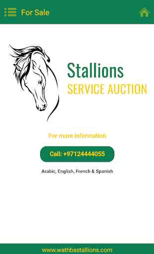Wathba Stallions 4