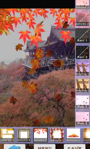 Aki Camera -Autumn & halloween 1