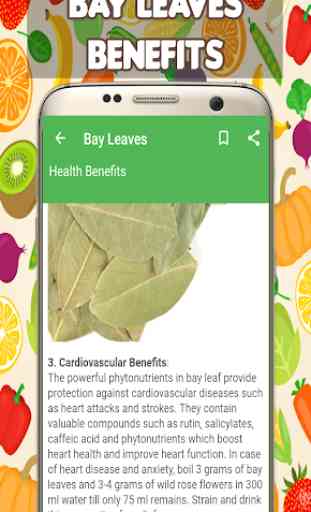 Bay Leaves Benefits 3