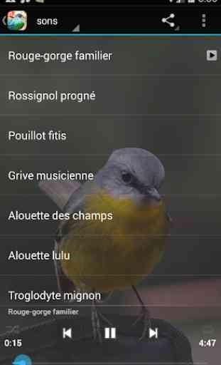 Chants d'oiseaux 1