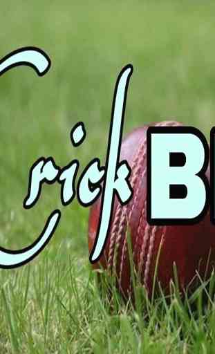 Cricket  BD 3