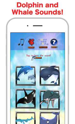 Fun Whale & My Dolphin Show Game For Kids Free 1