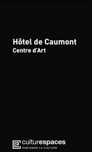 Hôtel de Caumont – Centre d’Art 1