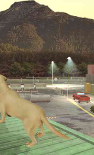 Labrador Simulator 3