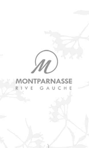 Montparnasse Rive Gauche 1
