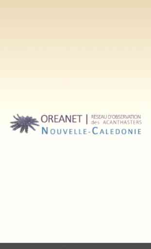 Oreanet NC 1