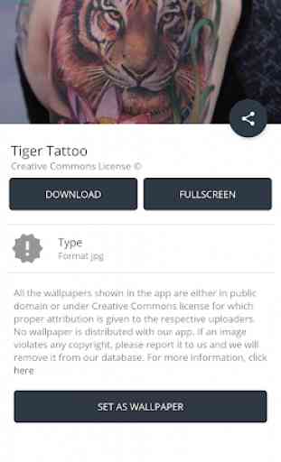 Tiger Tattoo Designs 3