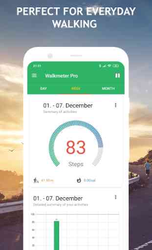Walkmeter Pro - Step Counter and Calories Tracker 3