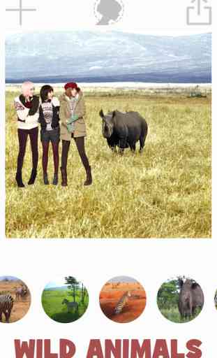 Photomontage d’animaux avec copier / coller 1