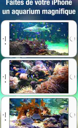 Aquarium HD+: fonds d'écran de la nature et la mer 1