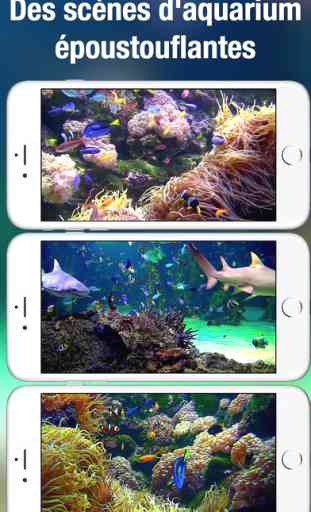 Aquarium HD+: fonds d'écran de la nature et la mer 2