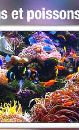 Aquarium HD+: fonds d'écran de la nature et la mer 4