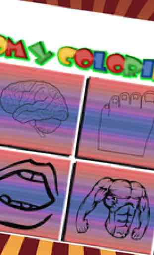 Anatomie & Physiologie Cahier De Enfants Coloriage 2