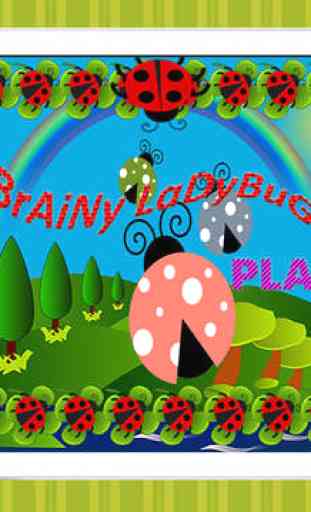 Brainy coccinelle jeu 3