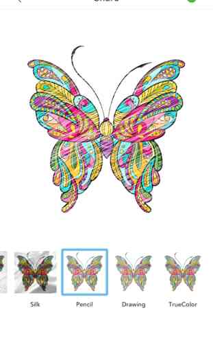 Coloriage Papillon: Livre de Coloriage pour Adulte 2