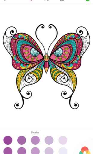 Coloriage Papillon: Livre de Coloriage pour Adulte 4