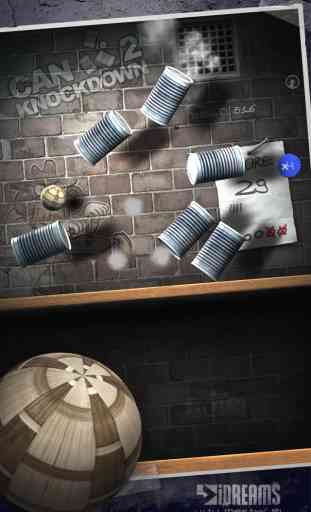 Can Knockdown 2 2