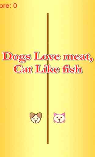 chat manger du poisson - amour viande de chien gratuit 4