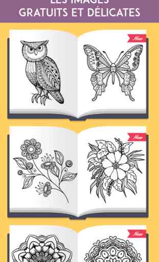 ColorRing: Un livre gratuit à colorier pour l'adulte - Le meilleur art-thérapie pour soulager le stress et équilibrer votre vie 3