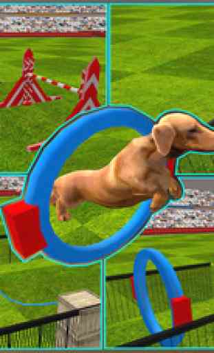 Exposition de chien simulateur 3D: former chiots et exécuter des cascades étonnantes 2