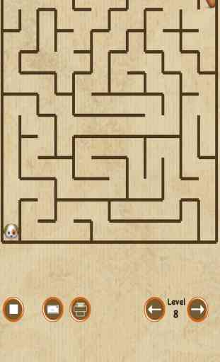 Labyrinthe Chien 3