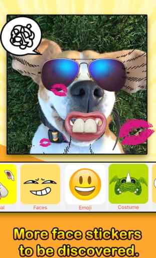 Face Filters - Dog & Other Funny Face Effects 4