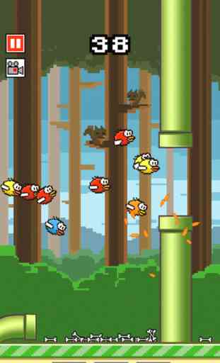 Flappy Crush : Bird Smash 1