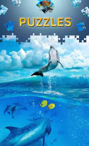 Jeux de puzzle de dauphin.Puzzle adulte paysage 2
