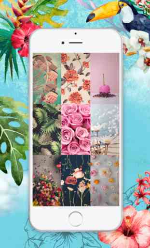 HD Fond d'Ecran Floral - Verrouiller L'écran Amusant Et Floraison Thèmes de Fleurs pour iPhone 2